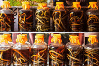 Snake wine-snake label