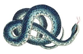 Ouroboros: Symbol and Meaning