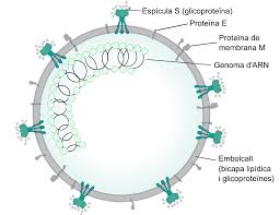 Snakes Could Be the Original Source of the New Coronavirus?