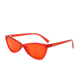 Butterfly Sunglasses: High - Visibility Clarity & Elegant Design - snake - label