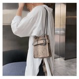 Crossbody Snake Bag with Trendy Korean Design & Snake Pattern Chain snake - label