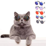 Dog Teddy Sunglasses for Dogs - UV Protection Metal Frames snake - label