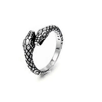 Double - Headed Snake Ring with Electroplated Finish and Dual - Color Options snake - label