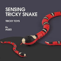 Interactive Electric Induction Snake Cat Toy snake - label