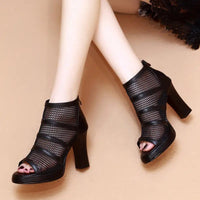 Mesh Shoes Women's Heels: Elegant Mesh Heels with Zipper Closure & Thick Heel snake - label