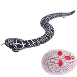 Novelty Remote Control Snake Toy snake - label