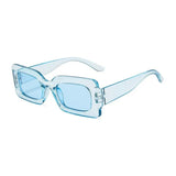 Small Frame Vintage Sunglasses with Color Options - Classic Design, High - Quality Materials snake - label