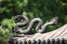 The Snake Dragon: Between Myth and Reality