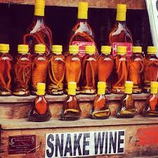 Snake wine