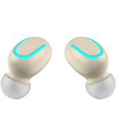 Wireless Earphones with Bluetooth 5.0 Technology & Charging Case - Immersive Sound Experience - snake - label